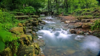 讓天更藍，水更清——浙江扎實(shí)做好中央生態(tài)環(huán)保督察整改綜述